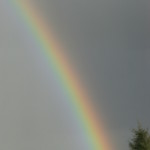 Dale peninsula rainbow