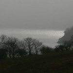 Fog in Sandy Haven Bay