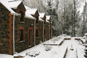 Monks garden in December snow