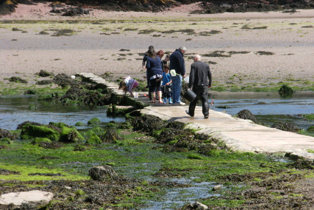 The crabbing bridge Sandy Haven