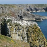 Limestone sea cliffs