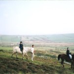 Horse riding in the Preseli Mountains