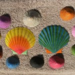 Seashells painted with water colours