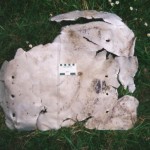 A torn aluminium plate measuring 75 by 67 cm and 2mm thick. Remnants of a carbon coating can be seen. Scale in cm and inches.