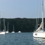 Weaving through the moored yachts at Dale